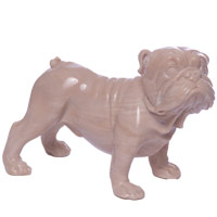 Bulldog Bulldog