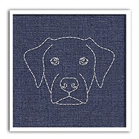 Quadro Labrador