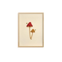 Quadro Bosque Mushroom