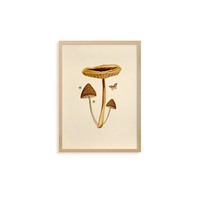 Quadro Bosque II