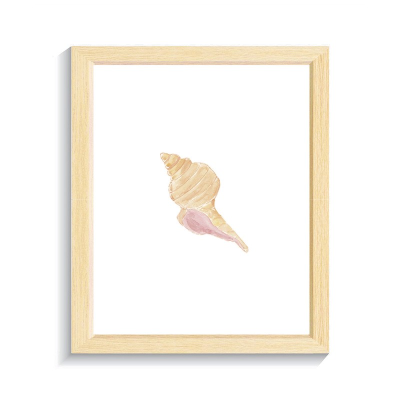 Quadro Concha Curva