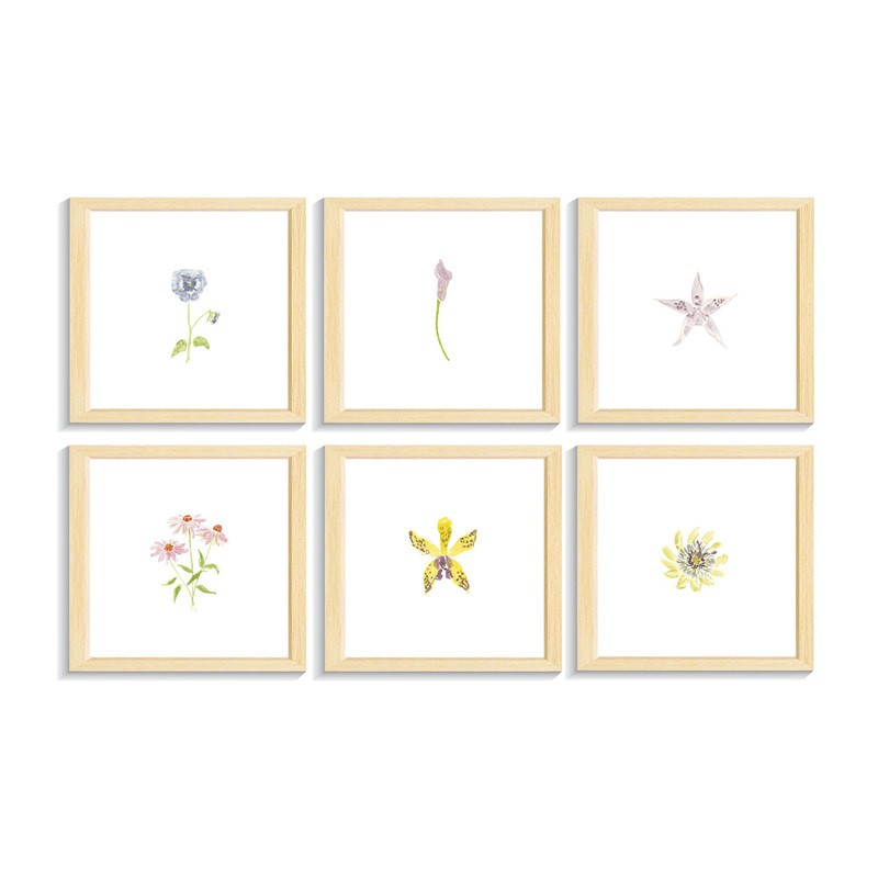 Set Quadros Florais
