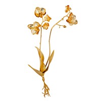 Escultura de Orquídea G