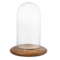 Redoma Habitat Floris