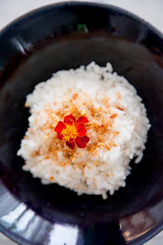 COLE��O YASUDA
