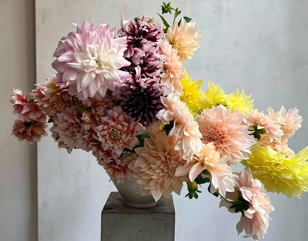 Flower Crush