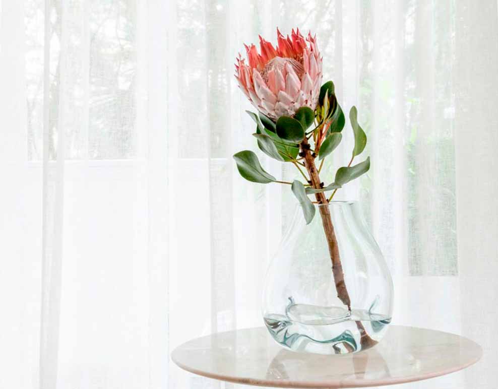 Semana Rosa