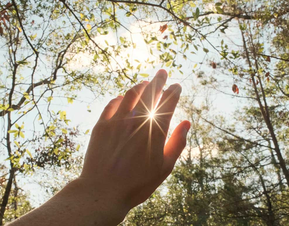 Sol em Virgem