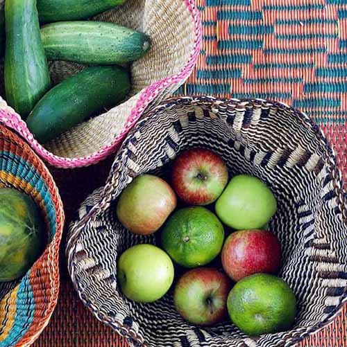 The Culture of Baskets