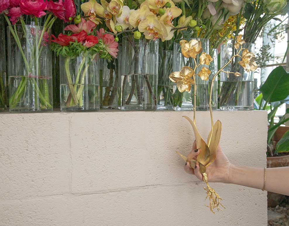 Influ�ncia Floral
